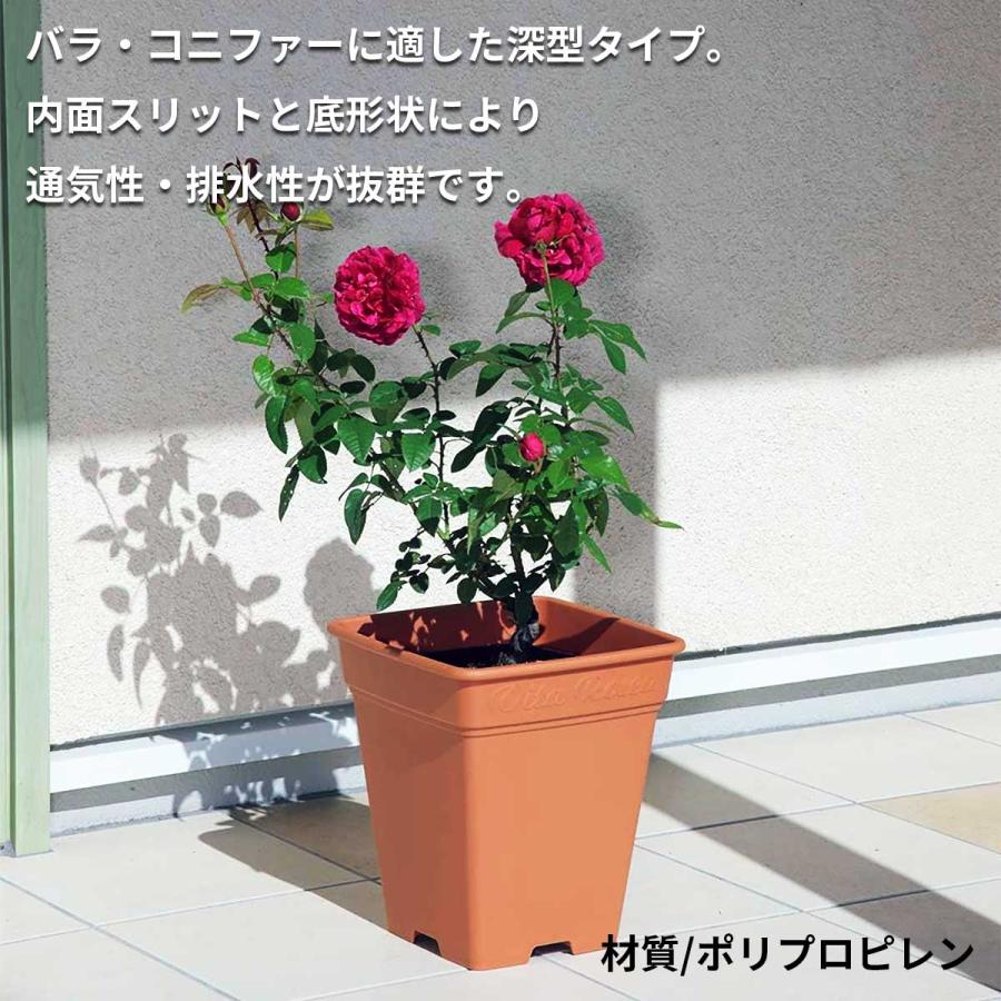 アップルウェアー ロゼアスクエア 260型 グリーン 262×262×290 土容量