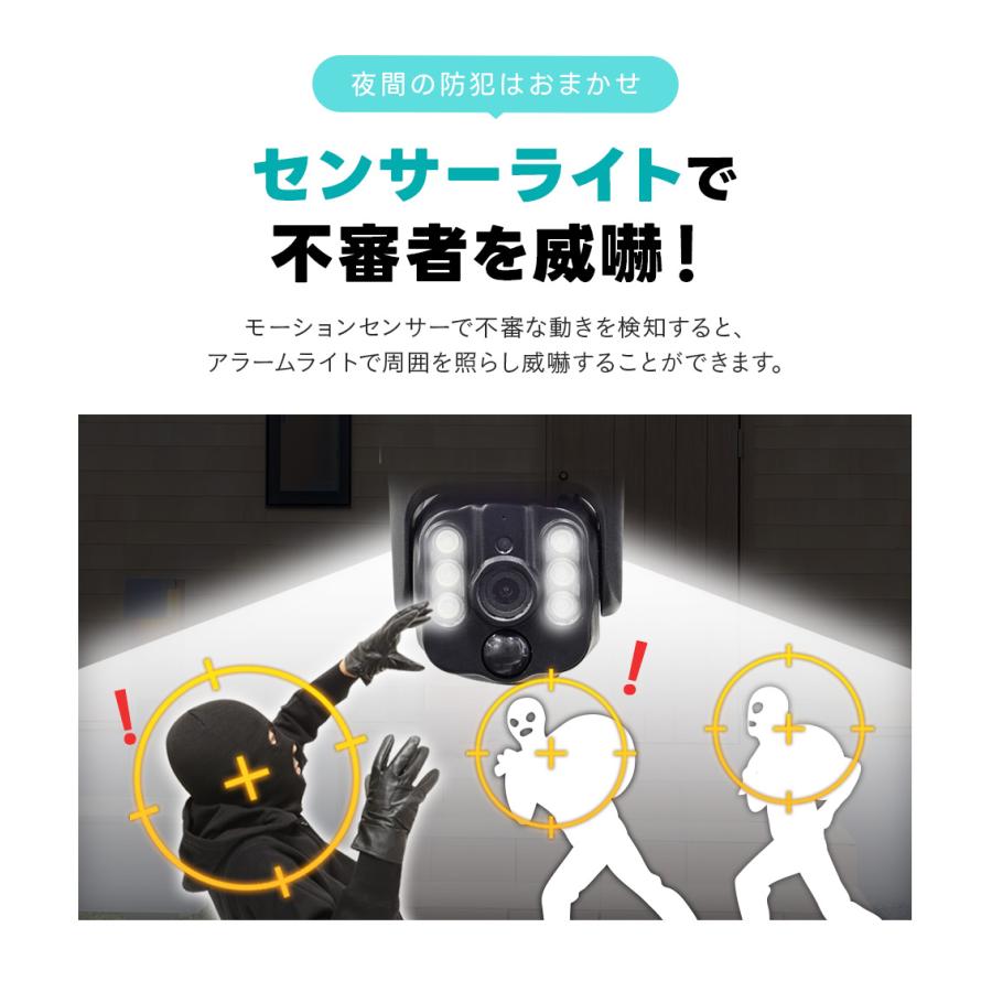 WTW 塚本無線 防犯カメラ 防犯カメラ アンテナ内蔵 1インチ 400万画素