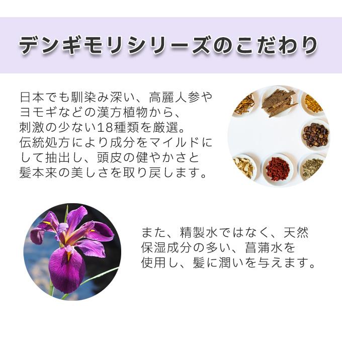 デンギモリ 【2種セット】デンギモリ 珍気シャンプープレミアム 珍気