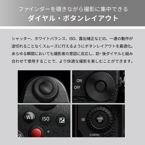 Panasonic（パナソニック） 【長期5年保証付】 LUMIX DC-G99M2H 高倍率