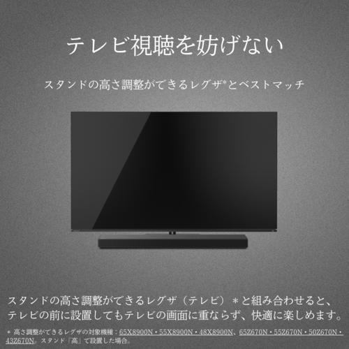 REGZA(レグザ) TS216G デュアルウーファー内蔵 レグザサウンドシステム