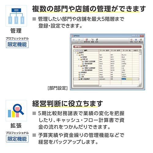 弥生 弥生会計 26 プロフェッショナル 通常版 YRAV0001 : 特価COM