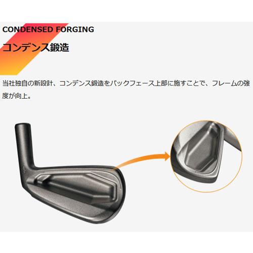 ZXi 特注 ダンロップ(DUNLOP) スリクソン ZXi5 アイアンセット 6本N.S.