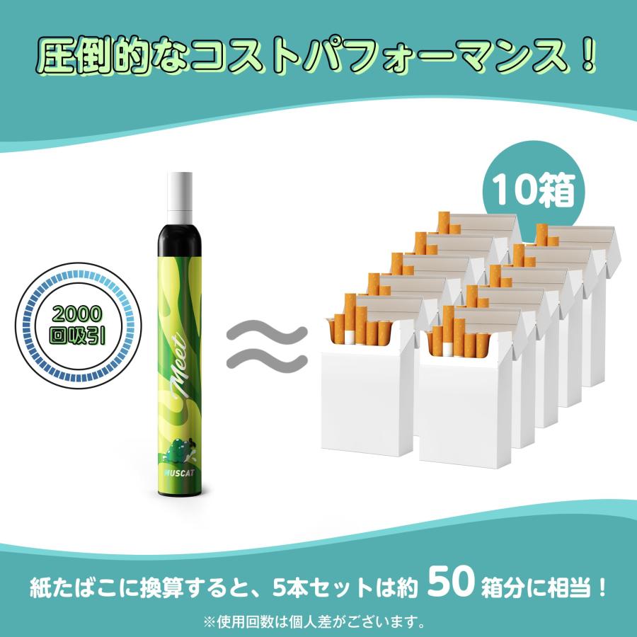 電子タバコ 使い捨て VAPE ミックスベリー 5本入 大容量 紙フィルター