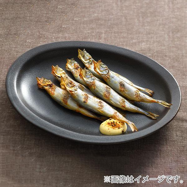 オークス（AUX） 大人の焼魚 炭グリル OTS8010 魚焼き器 フライパン 炭