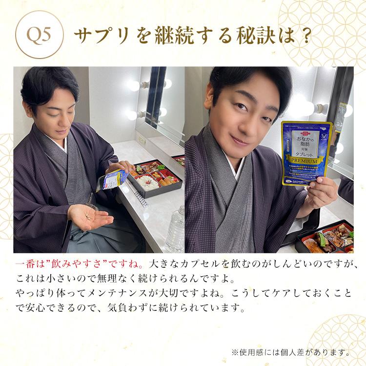 大正製薬 公式 おなかの脂肪対策タブレットPREMIUM 粒タイプ 90粒 3袋