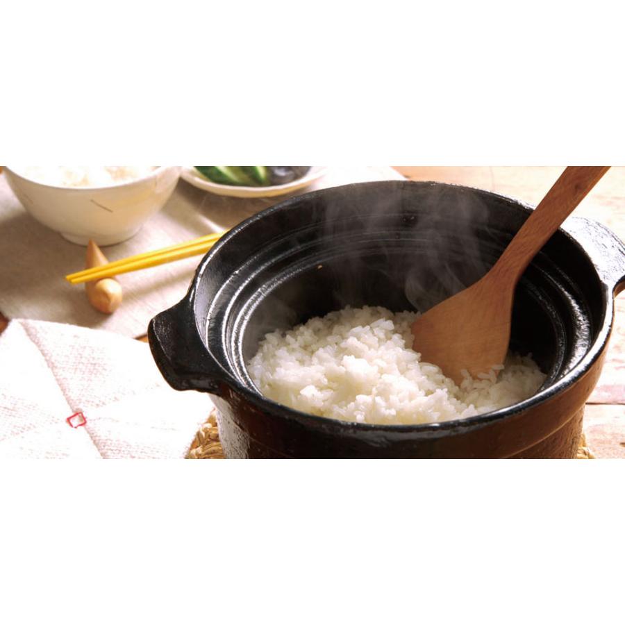 リンナイ（Rinnai） 専用炊飯土鍋「かまどさん自動炊き」 (2合炊) RTR