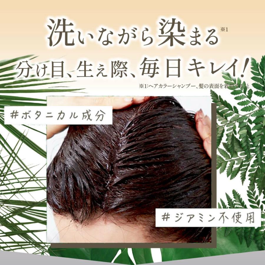 HAIR BEAUTE ECLAT 白髪染め シャンプー カラーシャンプー クリーム