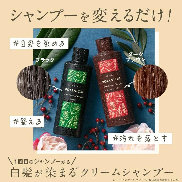 HAIR BEAUTE ECLAT 白髪染め シャンプー カラーシャンプー クリーム