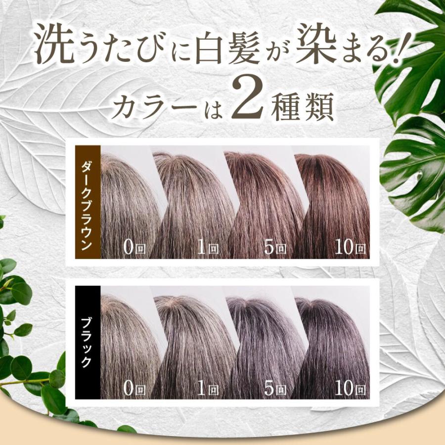 HAIR BEAUTE ECLAT 白髪染め シャンプー カラーシャンプー クリーム