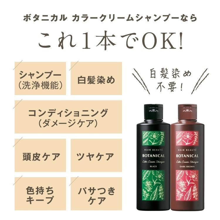 HAIR BEAUTE ECLAT 白髪染め シャンプー カラーシャンプー ヘアボーテ