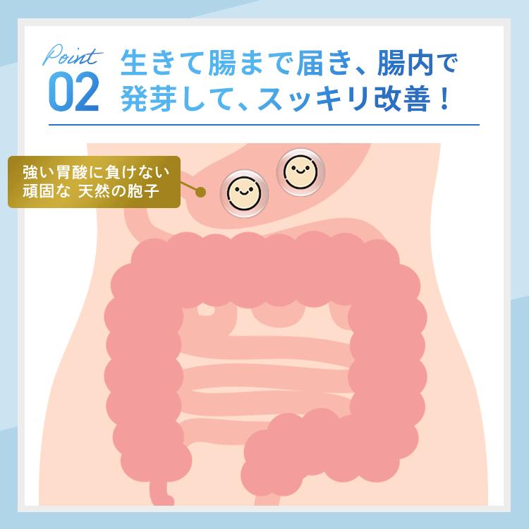 明治薬品 公式 ラクトロン錠 180錠 3袋 指定医薬部外品 整腸