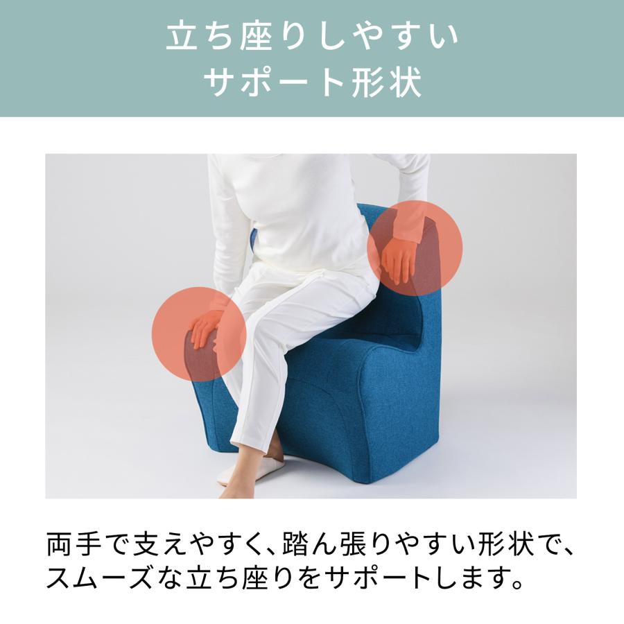 Style（スタイル） ドクターチェアプラス BS-DP2244F 姿勢サポート