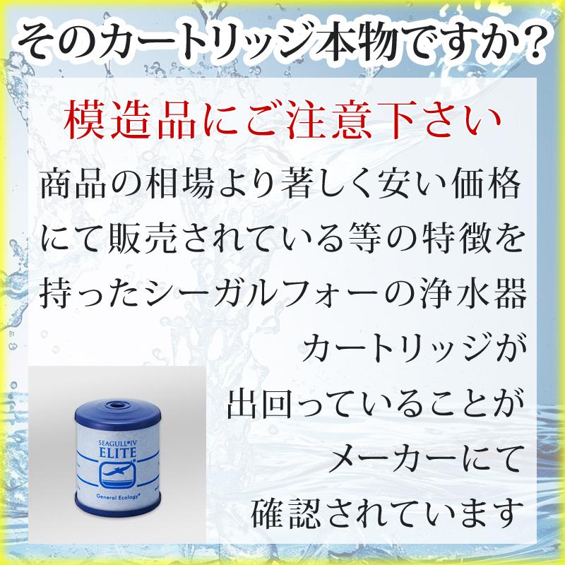 シーガルフォー シーガルフォー交換カートリッジ RS-1SGE メスネジ