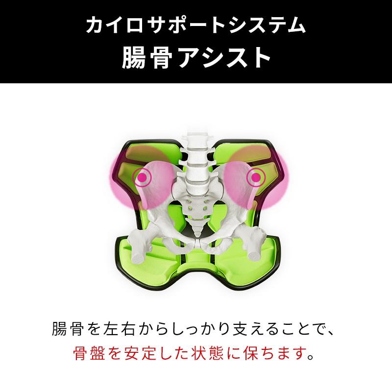 Style Athlete II 2 スタイルアスリートツー ボディメイクシート