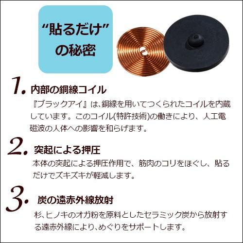 丸山式コイル ブラックアイ 6個入 : トータルヘルスデザイン - 通販