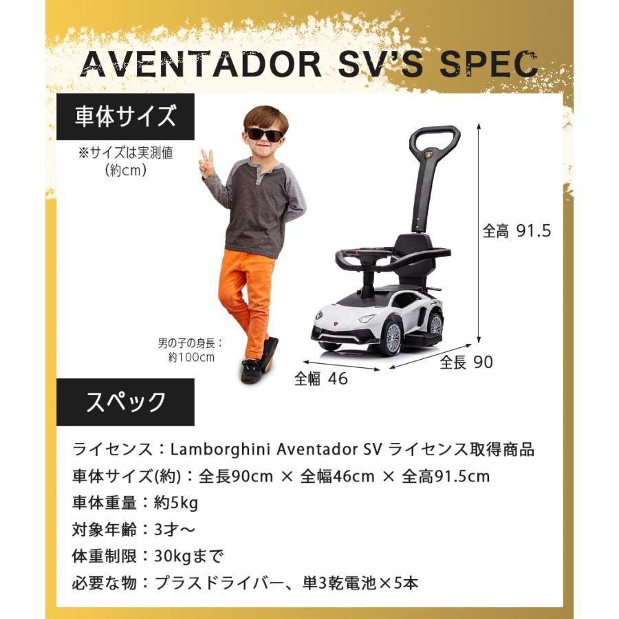 AIJYU TOYS（アイジュトイズ） 足けり乗用玩具 手押し 2WAY