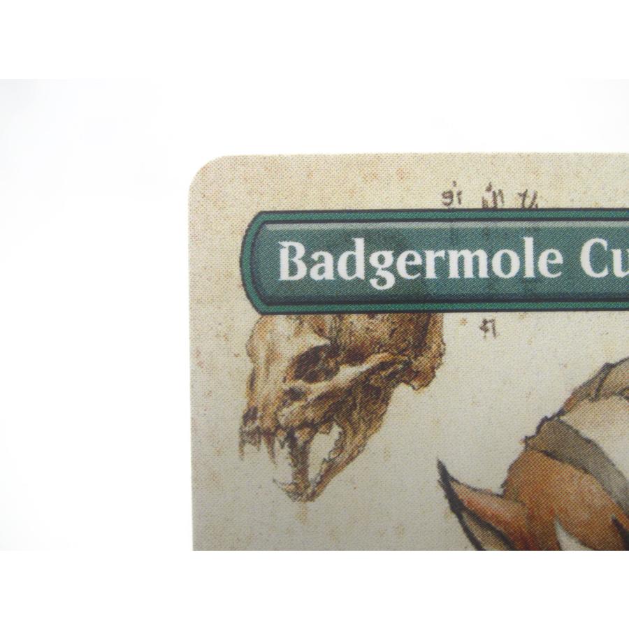 MTG アナグマモグラの仔 foil ボーダーレス MTG アナグマモグラの仔