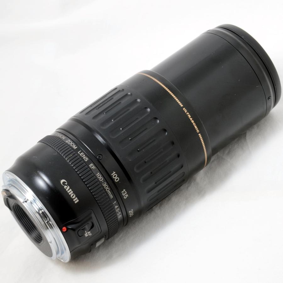 EFレンズ キャノン 望遠ズームレンズ Canon EF 100-300mm F4.5-5.6 USM