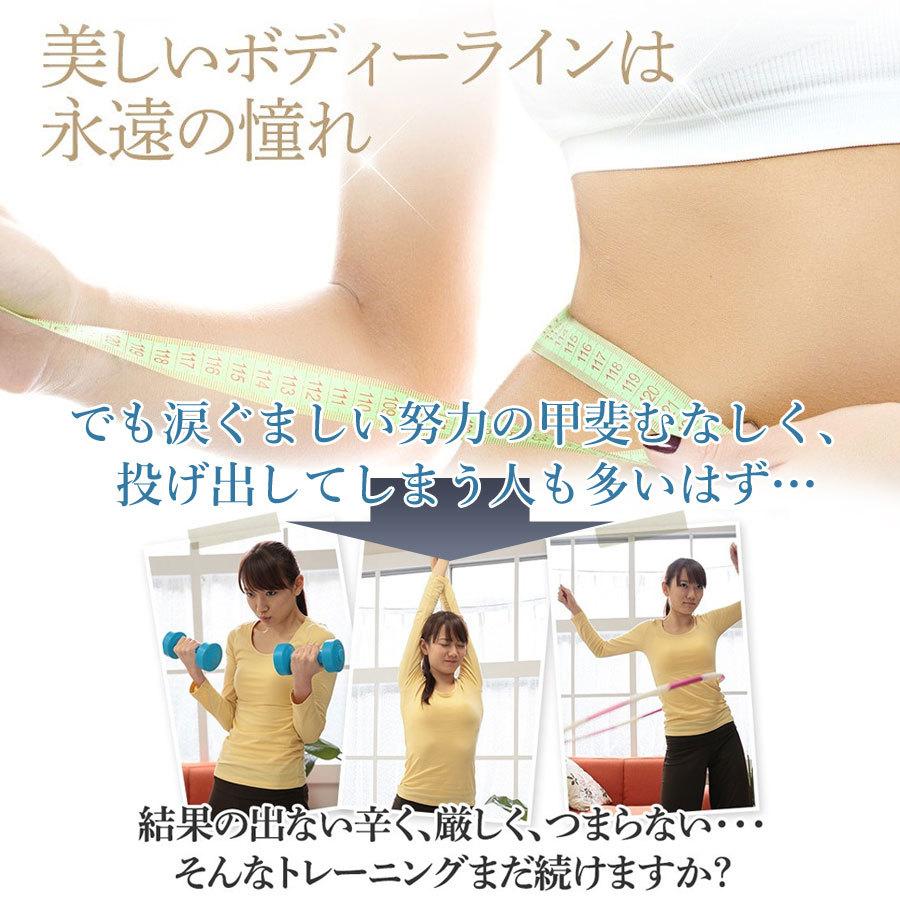 高周波EMS ダブルインパクトシェイプ 楽トレの家庭版（ケーブル1本のみ