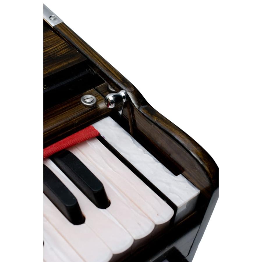 ハルモニウム Harmonium ピアノ インド 楽器 (Kartar Music House社製