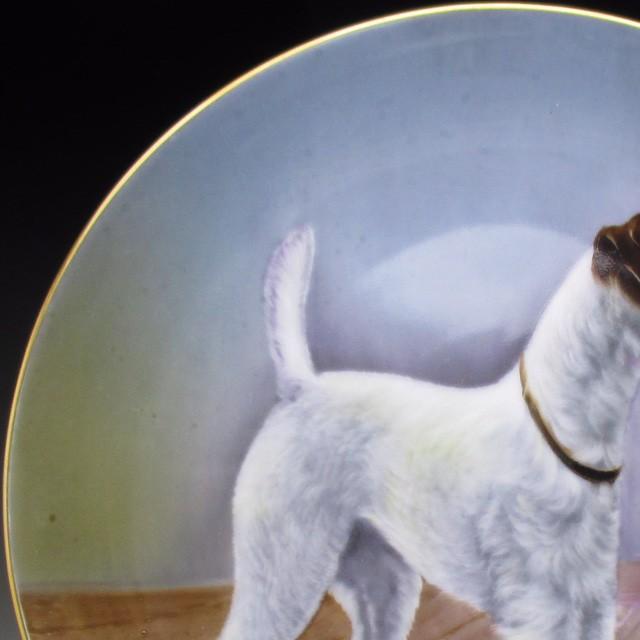 ノリタケ オールドノリタケ 犬絵 プレート 飾り皿 22cm : アンティーク