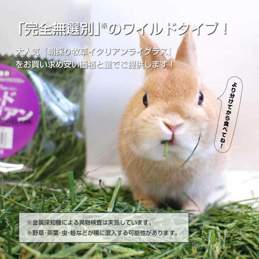 ウーリー ワイルドイタリアン 400g 「無選別」 : うさぎ専門店の食彩