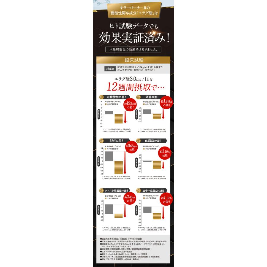 公式_正規販売店】2個セット キラーバーナー II ダイエットサプリ 倖田