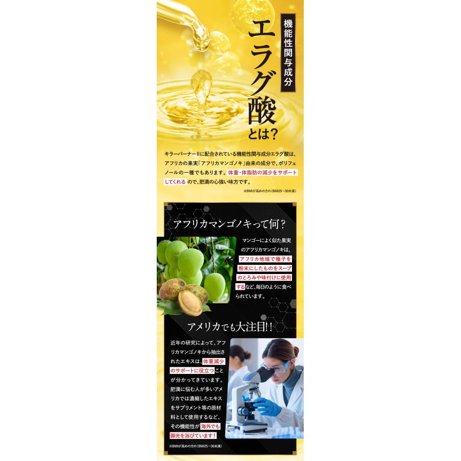 公式_正規販売店】2個セット キラーバーナー II ダイエットサプリ 倖田