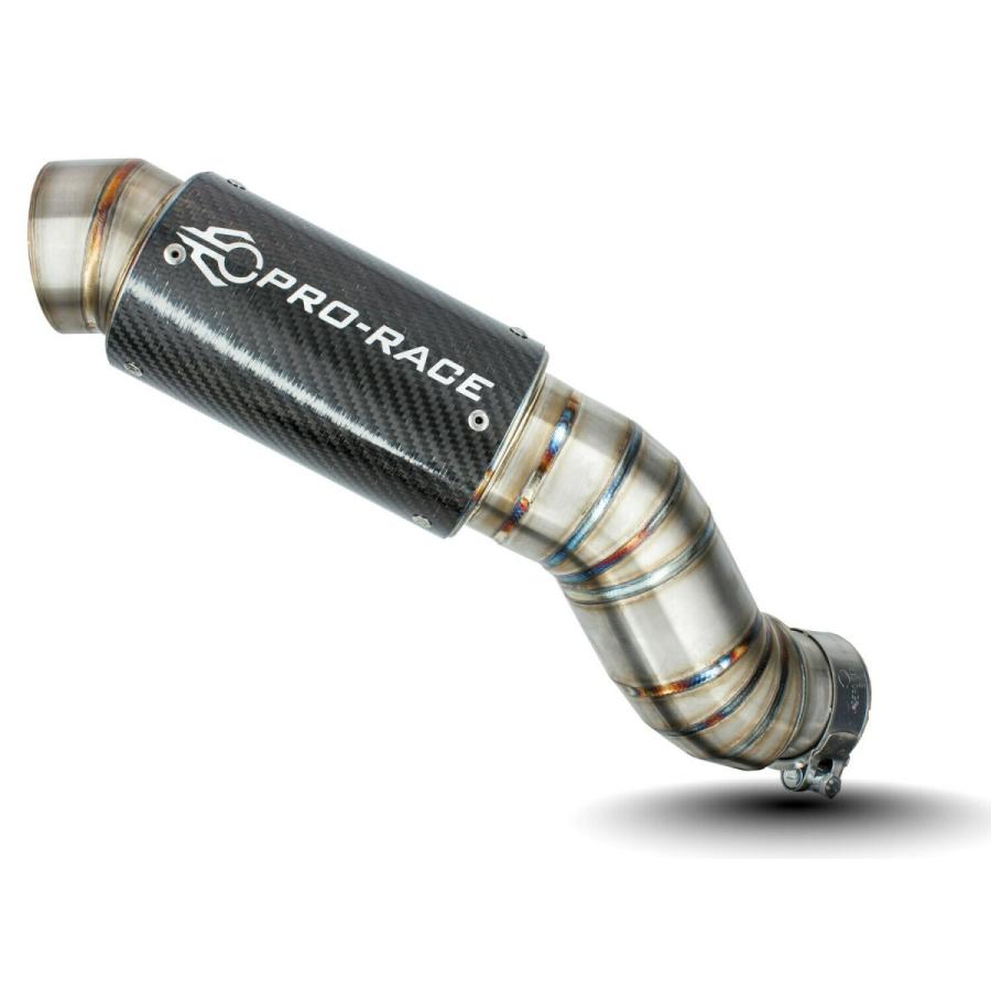 Kawasaki ZX-10R 16-20年 PRO-RACE GP-R3R チタンエキゾースト : 輸入