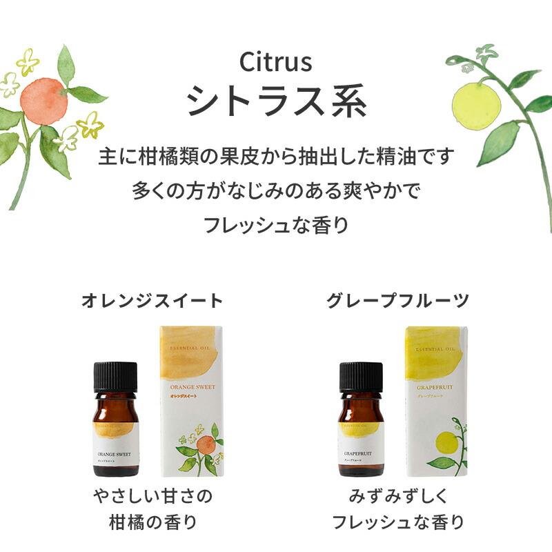 生活の木 公式 人気アロマ 選べる3本セット 5ml アロマ アロマオイル