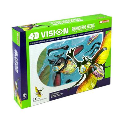 4D立体パズル動物解剖モデル カブトムシ Rhinoceros Beetle : 海猫屋