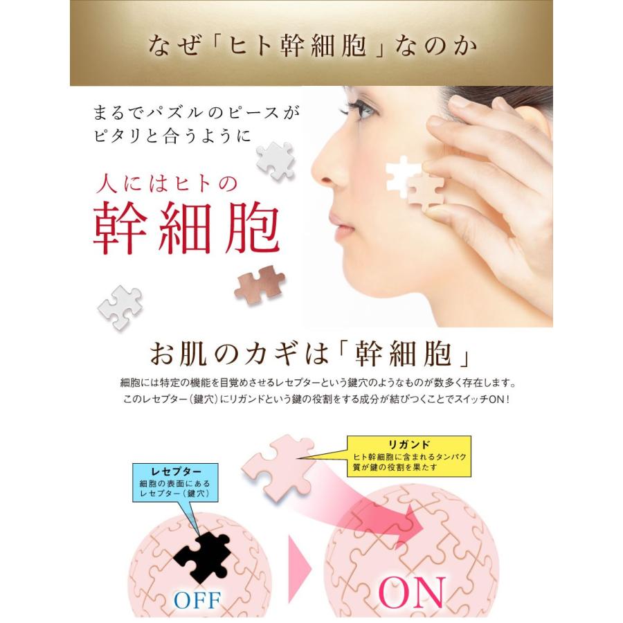 ブレーンコスモス オールインワン ジェル ゲル ヒト幹細胞美容液 セル