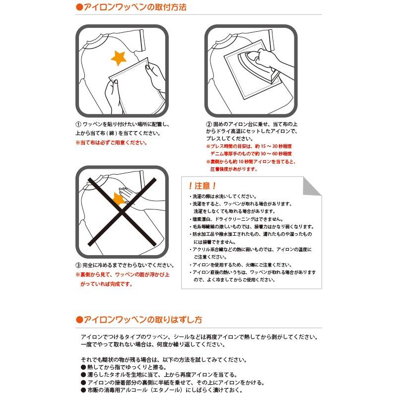 福岡ソフトバンクホークス 刺繍ワッペン FUKUOKA 鷹 (H-0007) ホークス