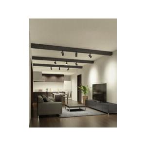 ODELIC（オーデリック） スポットライト 【OS256533R】【OS 256 533R