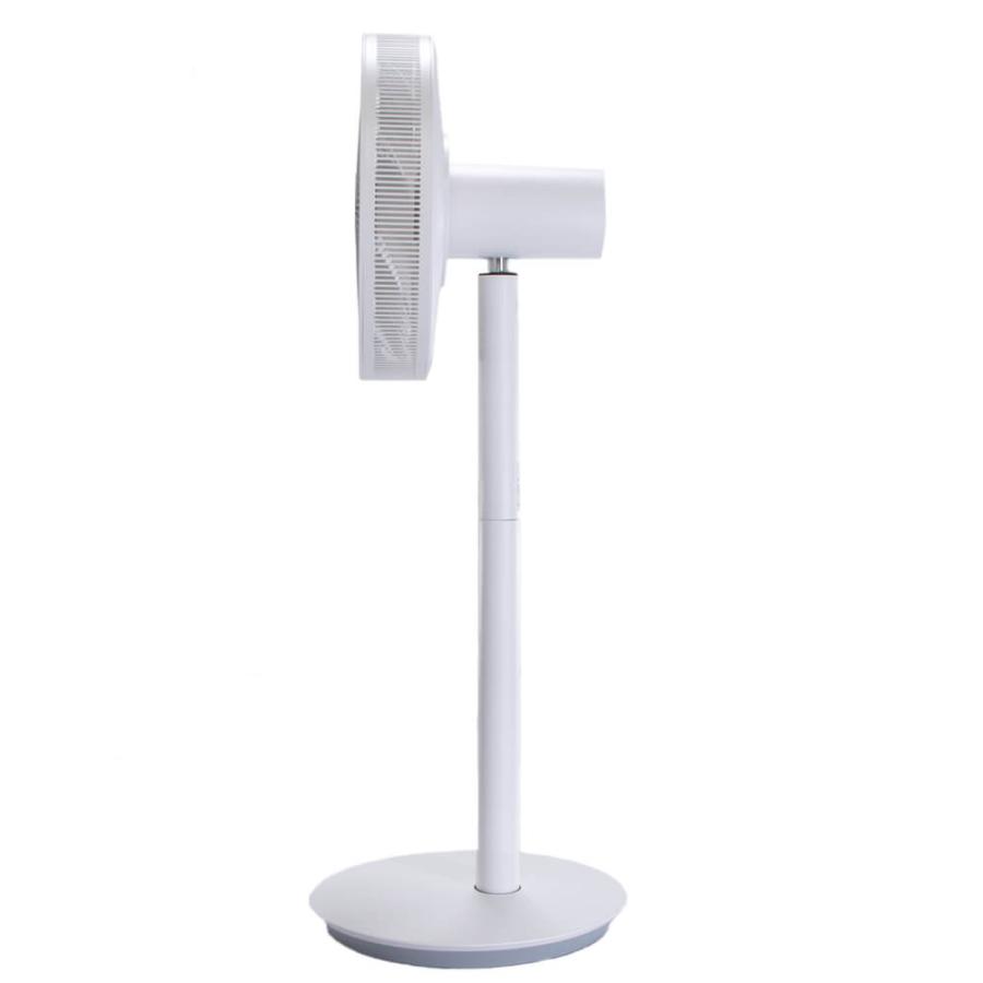 The GreenFan バルミューダ BALMUDA Green Fan グリーンファン 扇風機