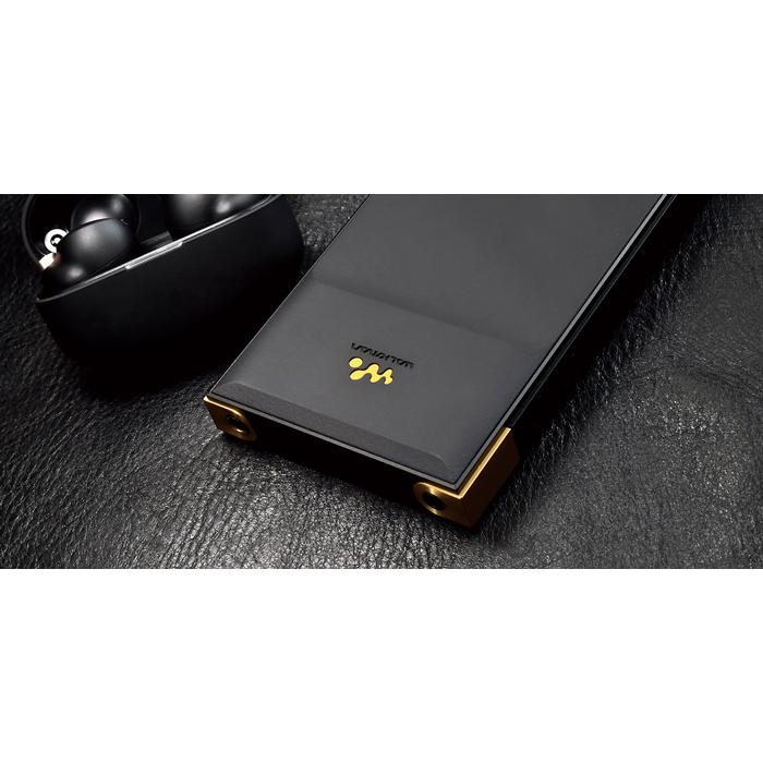 SONYウォークマン NW-ZX707用 完全無欠の縦型キャリングケース