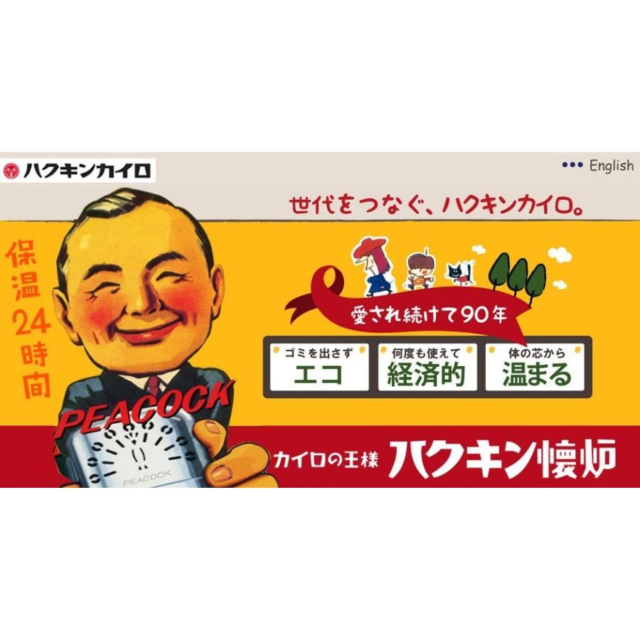 ハクキンカイロ ミニ 2個セット ハクキンウォーマー HAKKIN 懐炉 燃料