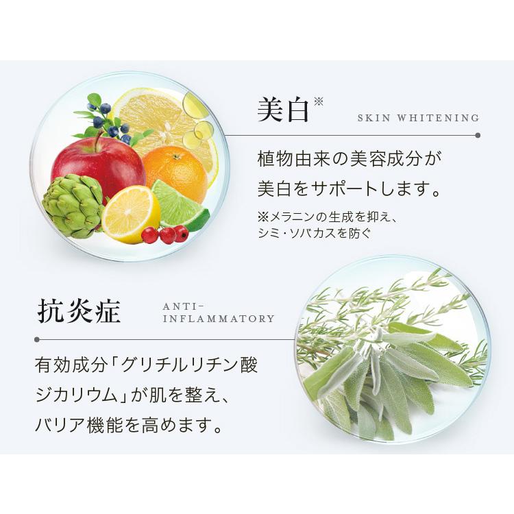 VERNAL（ヴァーナル） [薬用]ウォッシュパウダー 30包 洗顔 パウダー