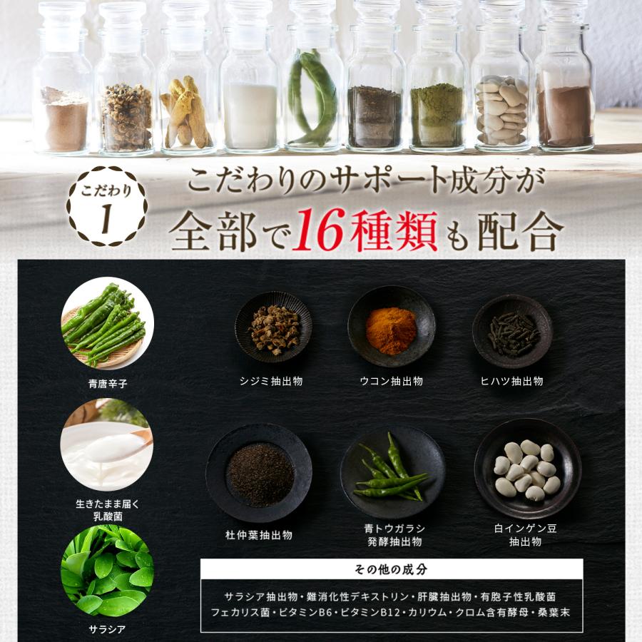 Vitabrid ターミナリアファースト 30回分✖️3袋 Vitabrid ターミナ