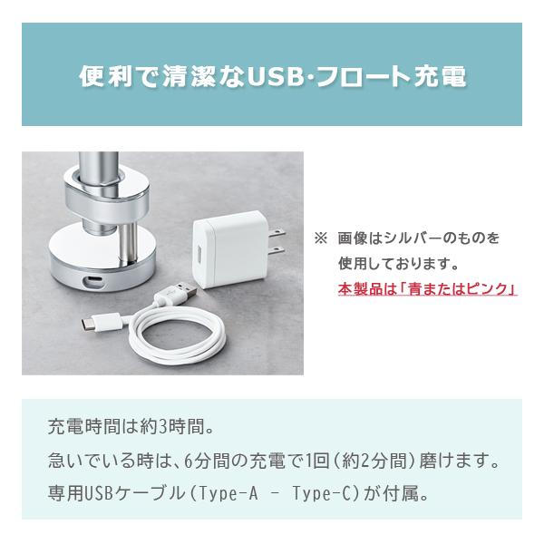 Panasonic（パナソニック） 音波振動ハブラシ 電動歯ブラシ ドルツ EW