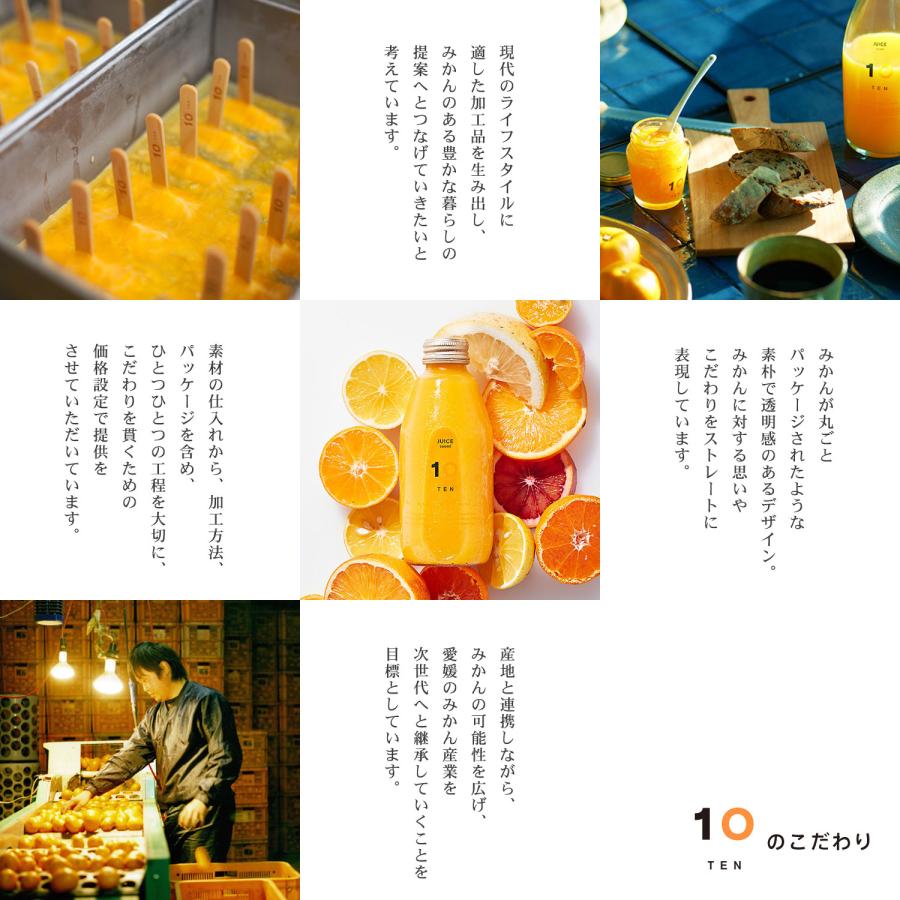 10FACTORY 冬ギフト ゼリー 愛媛 みかん 愛媛みかんジュース 1本 720ml