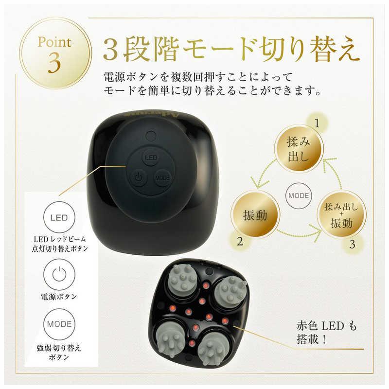 アデランス バスタイムエステ スパニスト(ブラック) ブラック