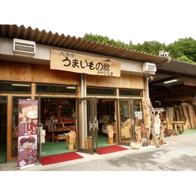 ふるさと納税 日の出町 イチョウ(銀杏)のまな板(中) : さとふる - 通販