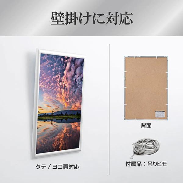 HAKUBA（ハクバ） アルミ額縁 A3ノビサイズ A3サイズ PEORIA+ ペオリア