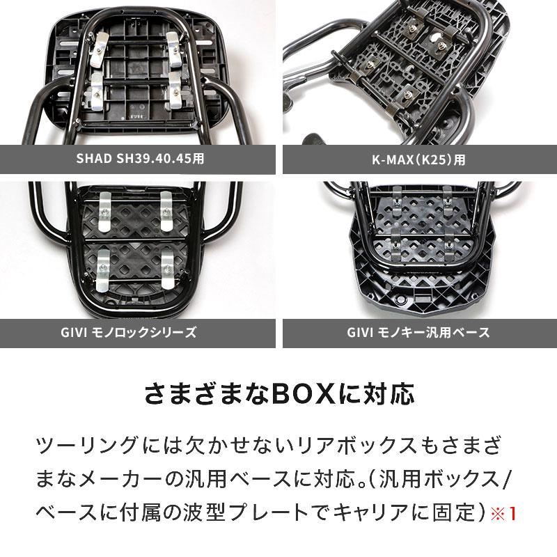 ENDURANCE（エンデュランス） SV650 SV650X VP55E VP55B リア キャリア