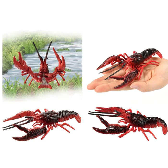 アニア AL-31 アメリカザリガニ : ユウセイ堂1号店 Yahoo!shopping店