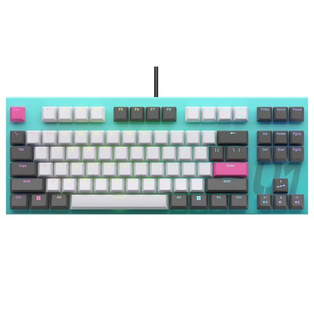 東プレ キーボード REALFORCE × 初音ミク GX1 X1UDM1 [Blue-Green