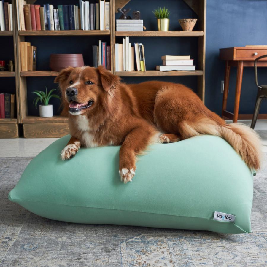 Yogibo（ヨギボー） 【送料無料】 ミニ Yogibo Mini クッション ひとを