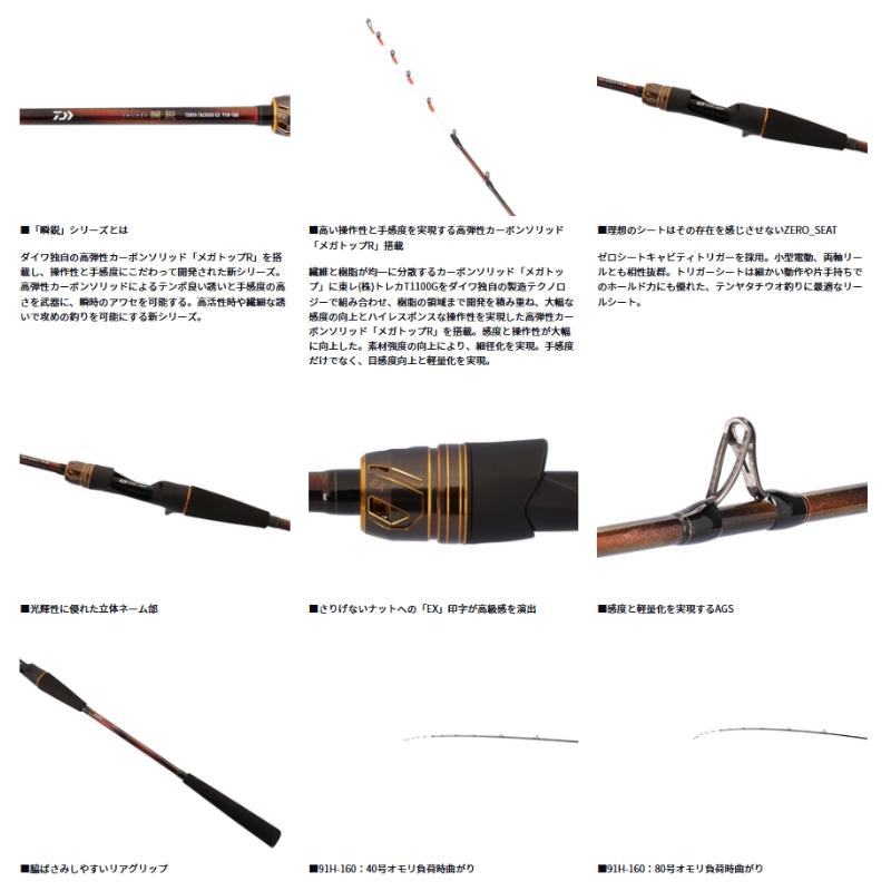 DAIWA（ダイワ） 瞬鋭テンヤタチウオEX 91H-160 【大型商品3